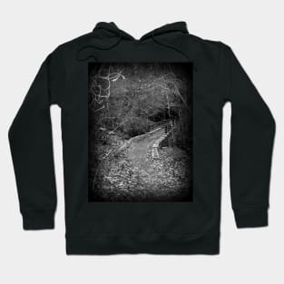Path Over A Fall Hoodie